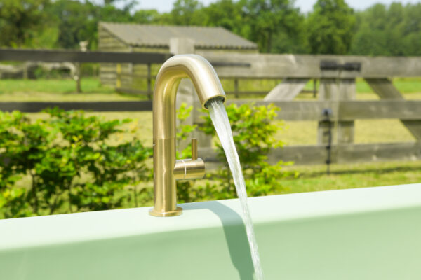 Gardentub lime green with golden Gardentub faucet